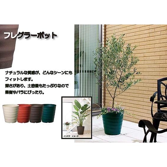 フレグラーポット 36型(鉢/プランター/植木鉢) : 造花観葉植物