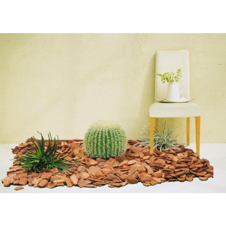 史上最も激安 タマサボテンセット 30cm キンシャチ ヤブラン バーグチップ入り 造花 インテリア 室内 フェイク Rakuten Www Thedailyspud Com