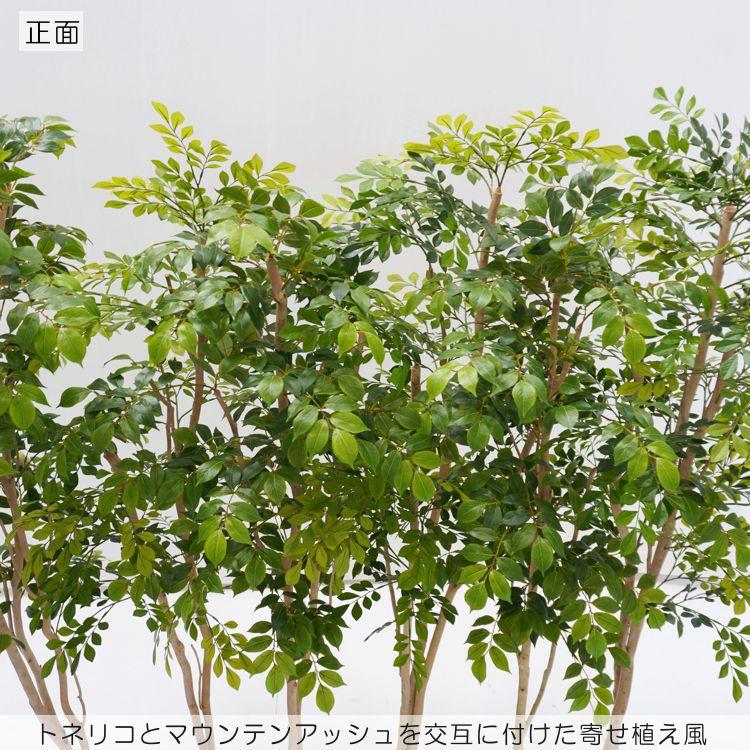 トネリコとマウンテンアッシュ 2分割 パーテーション 180cm 下草植栽 (フェイクグリーン 大型 造花 間仕切 仕切り オフィス おすすめ 内装 ベストグリーン）_1