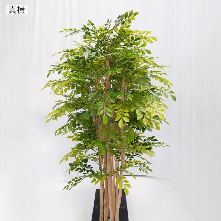 トネリコとマウンテンアッシュ 2分割 パーテーション 180cm 下草植栽 (フェイクグリーン 大型 造花 間仕切 仕切り オフィス おすすめ 内装 ベストグリーン）_2