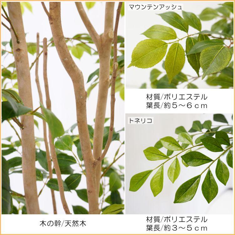 トネリコとマウンテンアッシュ 2分割 パーテーション 180cm 下草植栽 (フェイクグリーン 大型 造花 間仕切 仕切り オフィス おすすめ 内装 ベストグリーン）_5