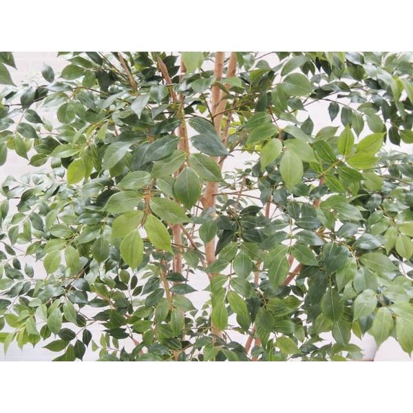 大型サイズ 北欧風な マウンテンアッシュ 植栽付き 高さ280cm (大きい 造花 インテリア 人工 観葉植物 植栽 鉢付き 室内 ディスプレイ 造作 オブジェ 2.8m)の画像