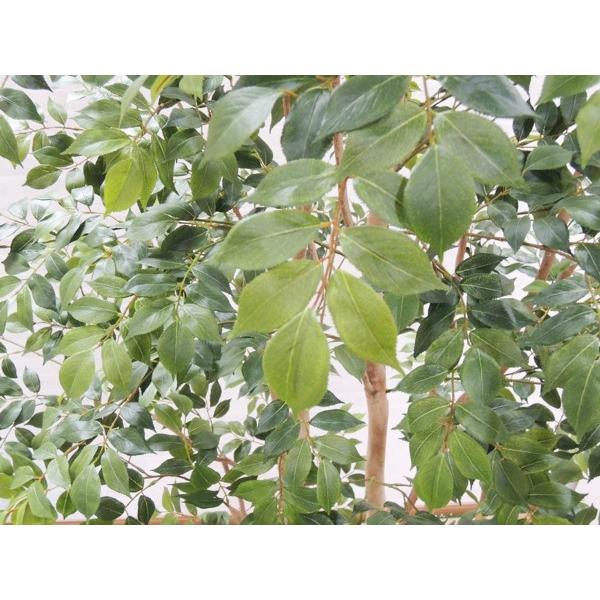 大型サイズ 北欧風な マウンテンアッシュ 植栽付き 高さ280cm (大きい 造花 インテリア 人工 観葉植物 植栽 鉢付き 室内 ディスプレイ 造作 オブジェ 2.8m)の画像