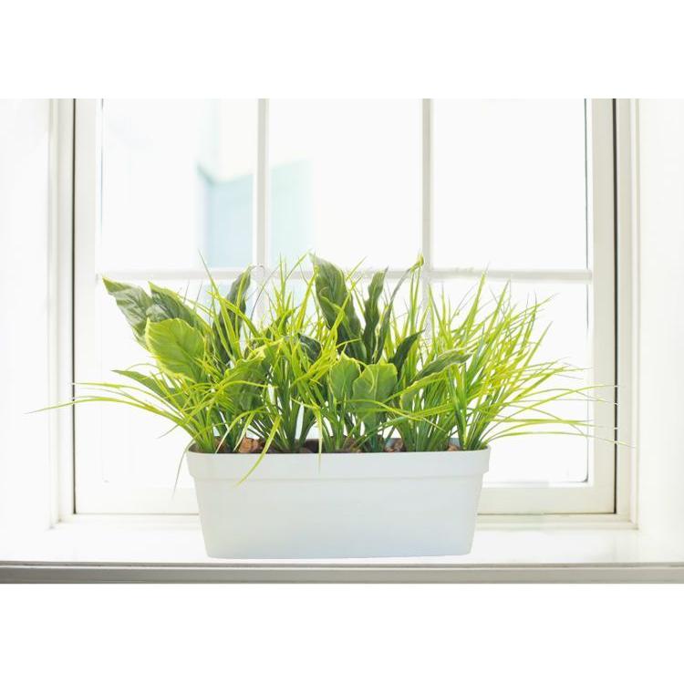 ホスタとグラスのプランター 高さ約50cm 幅約70cm 造花 インテリア 人工観葉植物 ギボウシ 多年草 おしゃれ 装飾 小型フェイクプランツ Am31 01 造花観葉植物専門店ビワールデコ 通販 Yahoo ショッピング