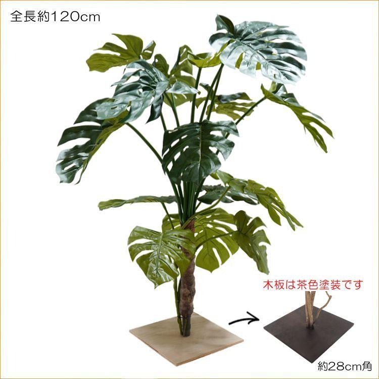 スプリットフィロ 高さ1cm モンステラ 造花 樹木 人工観葉植物 インテリア 南国 おしゃれ 室内 植栽 装飾 サトイモ科 ホウライショウ属 Am9150 10v 10 造花観葉植物専門店ビワールデコ 通販 Yahoo ショッピング
