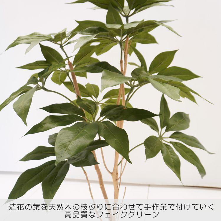 ツピタンサス 130cm (造花 カポック パキラ シェフレラ 人工観葉植物 フェイクグリーン ガーデニング 造園 庭園 坪庭 インテリア 洋風 和風) 