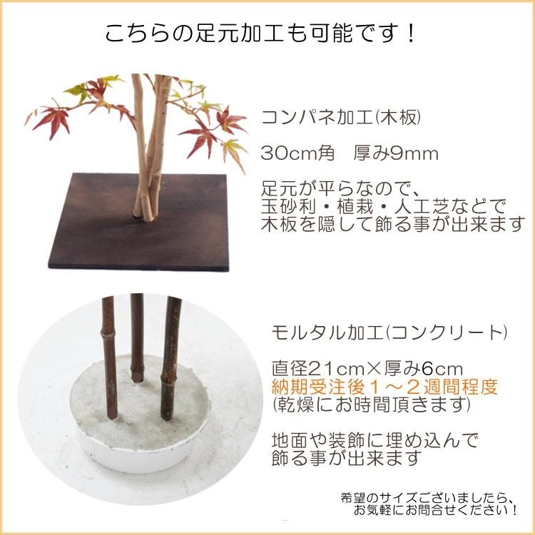 ツピタンサス 130cm (造花 カポック パキラ シェフレラ 人工観葉植物 フェイクグリーン ガーデニング 造園 庭園 坪庭 インテリア 洋風 和風) 