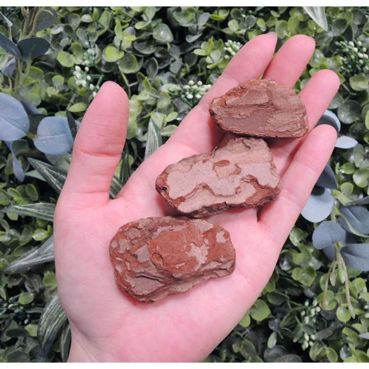 バークチップｓ 約１ 3ｋｇ ウッドチップ ガーデニング用品 マルチング材 土を隠す 日時指定 木片 庭 インテリアバーク 園芸用土