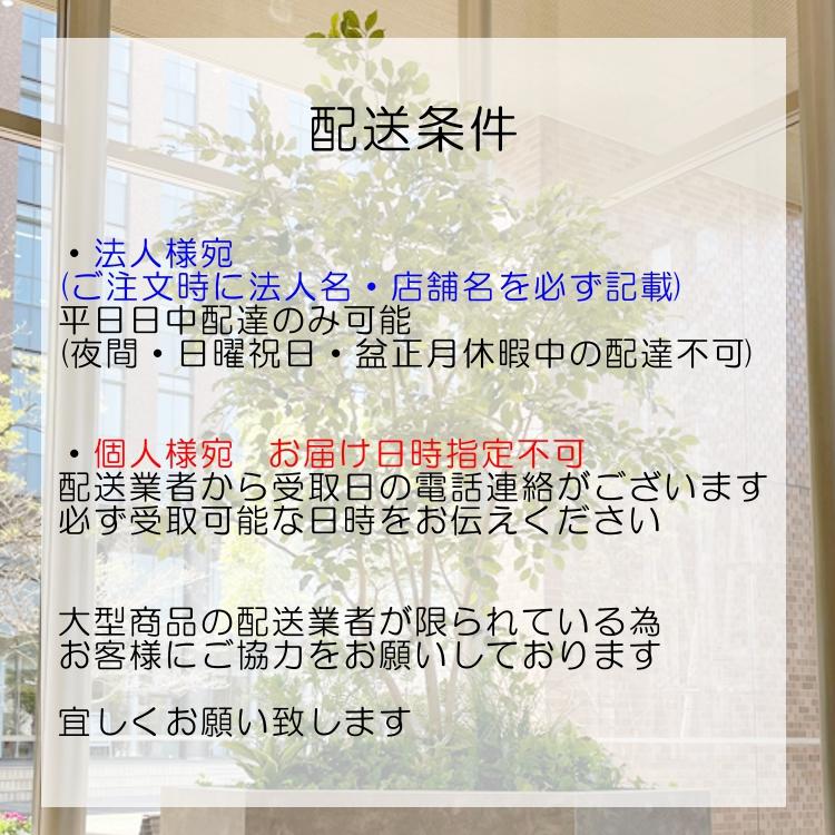 フェイクグリーンの壁掛け ウォールグリーン (造花 シダ系 お洒落 額縁 大きい ディスプレイ インテリア 室内 グリーンウォール グリーンパネル 壁面緑化)_6