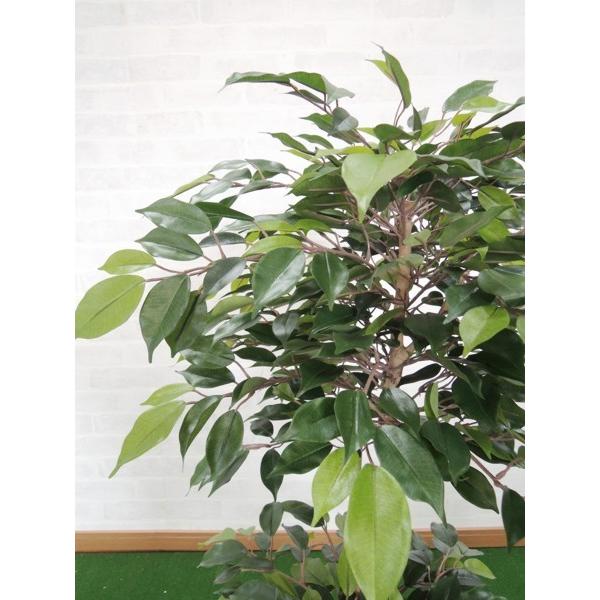 ガジュマル 100cm (フェイクグリーン リアル 店舗 ミニ 人工観葉