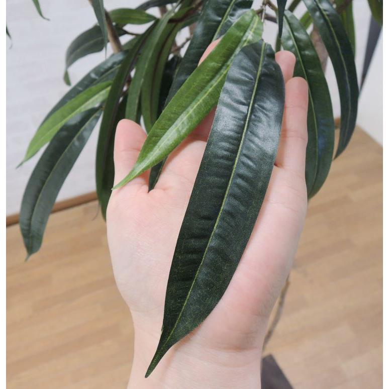 ショウナンゴム 240cm (アムステルダムキング 造花 インテリア 人工 