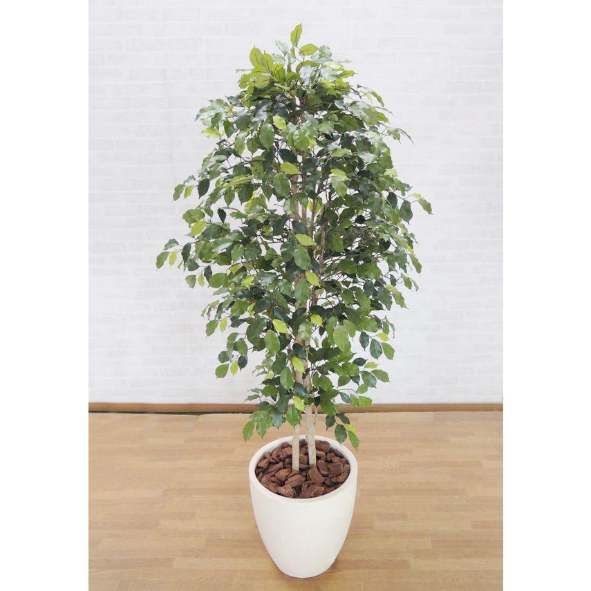 インテリアベンジャミン 180cm 造花 観葉植物 おしゃれ 大型 装飾 ディスプレイ 飾り 作り物 フェイクグリーン 造作 Amsb5 180 造花観葉植物専門店ビワールデコ 通販 Yahoo ショッピング