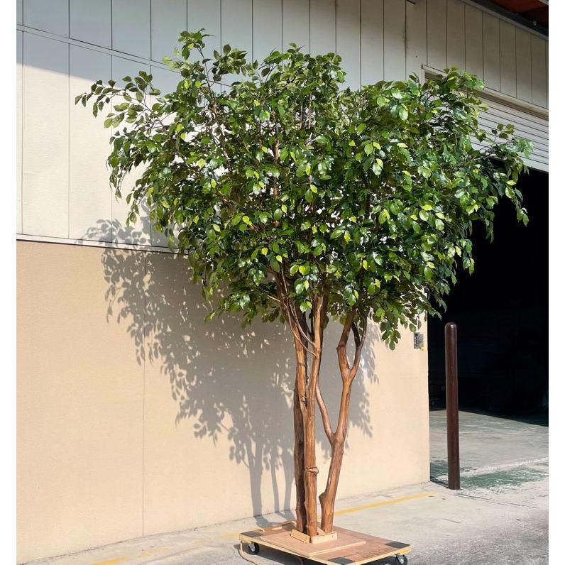 大型 ベンジャミン の木 高さ300cm 3本株立 (造花 フェイクグリーン