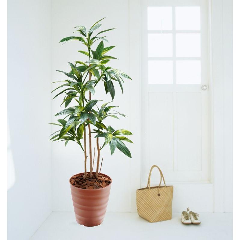 ドラセナ 180cm コルディリネ フェイク 造花 グリーン 樹木 人工観葉植物 大きい 1 8m インテリア おしゃれ 室内 大型 グリーン ディスプレイ 作り物 プランツ Amvdg5362 180 造花観葉植物専門店ビワールデコ 通販 Yahoo ショッピング