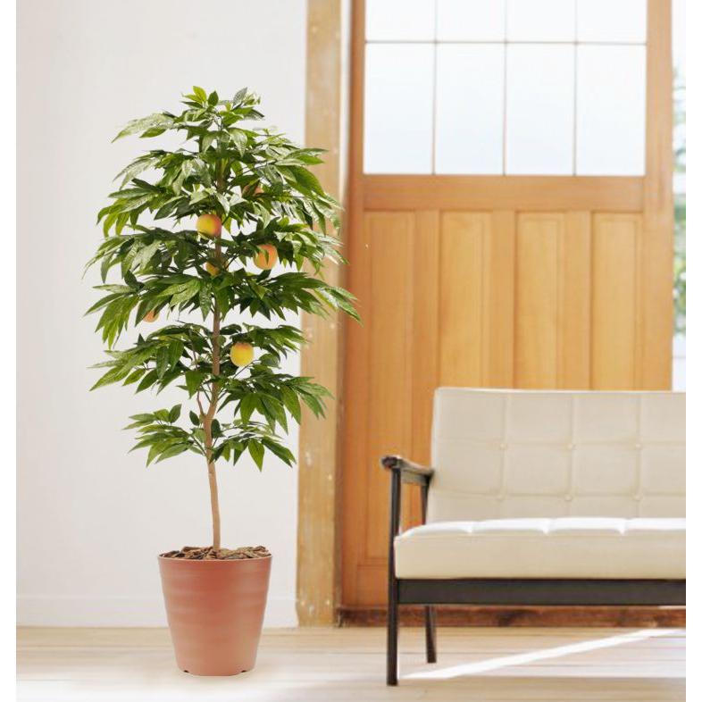 桃の木 実付き 180cm ピーチ 造花 観葉植物 鉢植え 室内 おしゃれ インテリア グリーン 植栽 1 8m Apt18 400 造花観葉植物専門店ビワールデコ 通販 Yahoo ショッピング