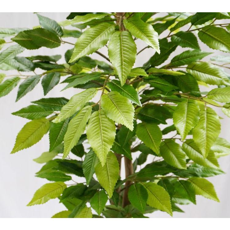 ケヤキの木 100cm (フェイクグリーン リアル 店舗 ミニ 人工観葉