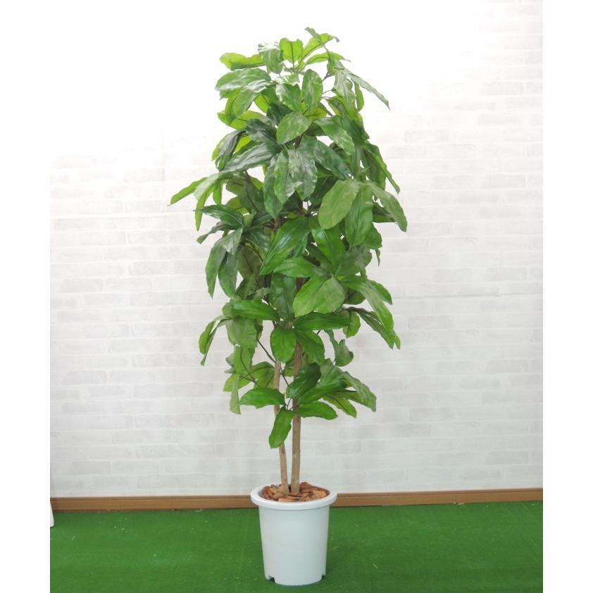 激安大阪 ジャイアントシェフレラ 180cm 鉢植え 観葉植物 造花 インテリア グリーン フェイク 大型 室内 おしゃれ 装飾 植栽 1 8m 売れ筋ランキング Sbdkab Go Id