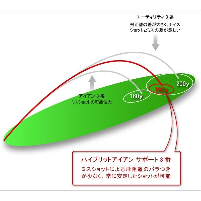 限定 ハイブリッドアイアン Hi-101 SUPPORT Carbon（エイチアイ-101 サポート カーボン）｜amcgolf｜03