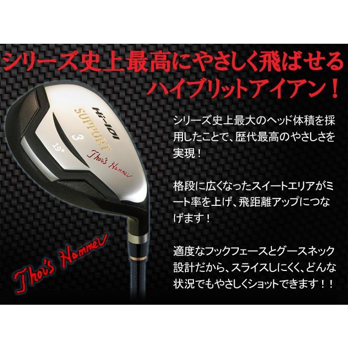 限定 ハイブリッドアイアン Hi-101 SUPPORT V4 SPEEED MAX RED 4axes(エイチアイ-101 サポート V4 スピード マックス レッド 4軸)|amcgolf|02