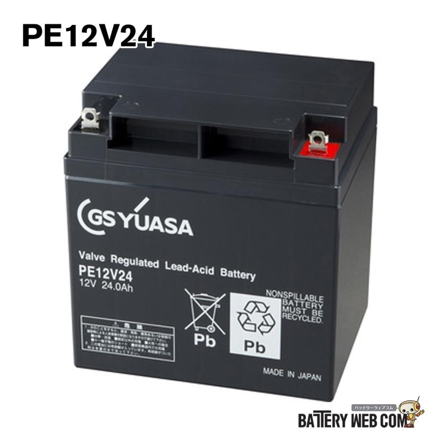 GSユアサ PE12V24 GSYUASA GSユアサ 小形制御弁式鉛蓄電池 ジーエス 
