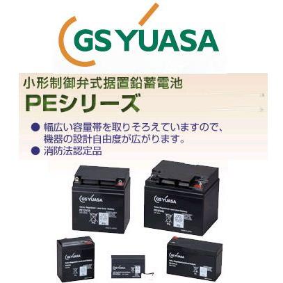 PE40 GSユアサ バッテリー 小形制御弁式鉛蓄電池 産業用 PE エレベータ ジーエスユアサ GSYUASA