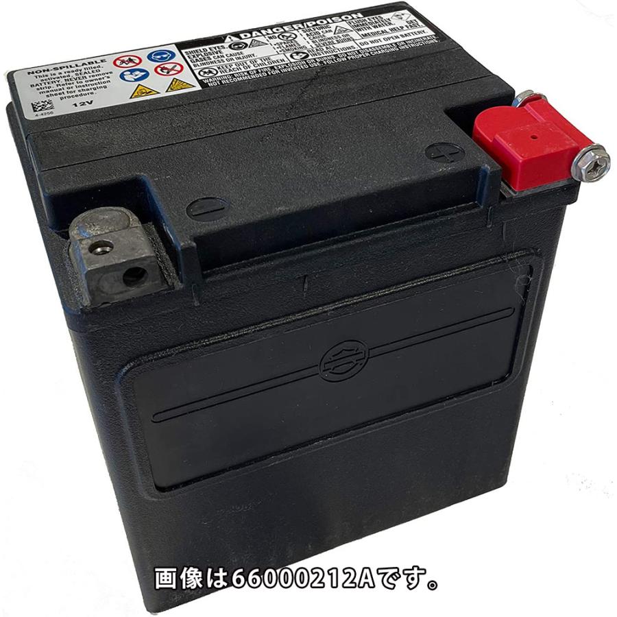 Harley Davidson（ハーレー・ダビッドソン） HD 66000206A ハーレー