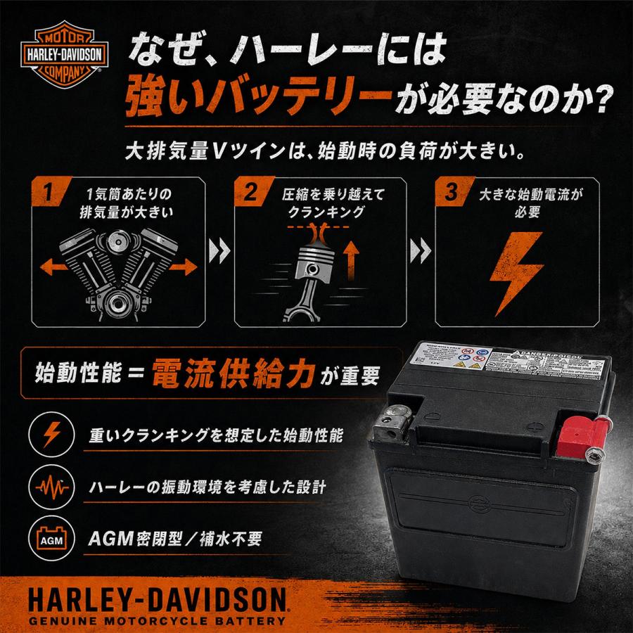Harley Davidson（ハーレー・ダビッドソン） HD 66000207A ハーレー