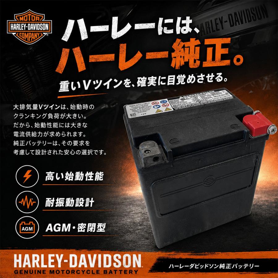 Harley Davidson（ハーレー・ダビッドソン） HD 66000207A ハーレー