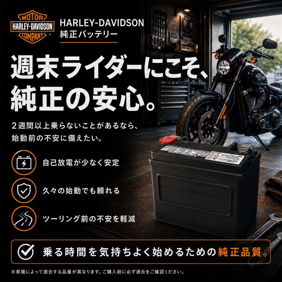 Harley Davidson（ハーレー・ダビッドソン） HD 66000207A ハーレー