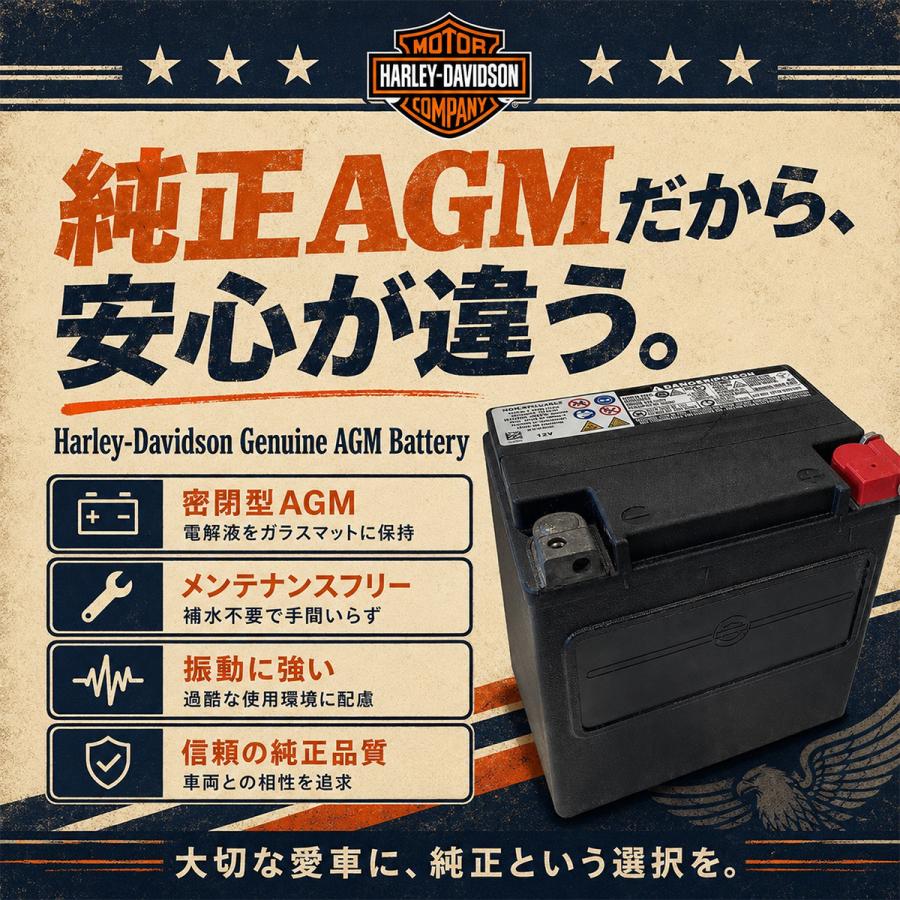 Harley Davidson（ハーレー・ダビッドソン） HD 66000208A ハーレー