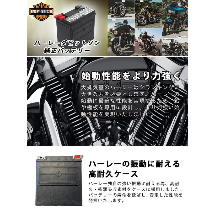 Harley Davidson（ハーレー・ダビッドソン） HD 66000212A ハーレー