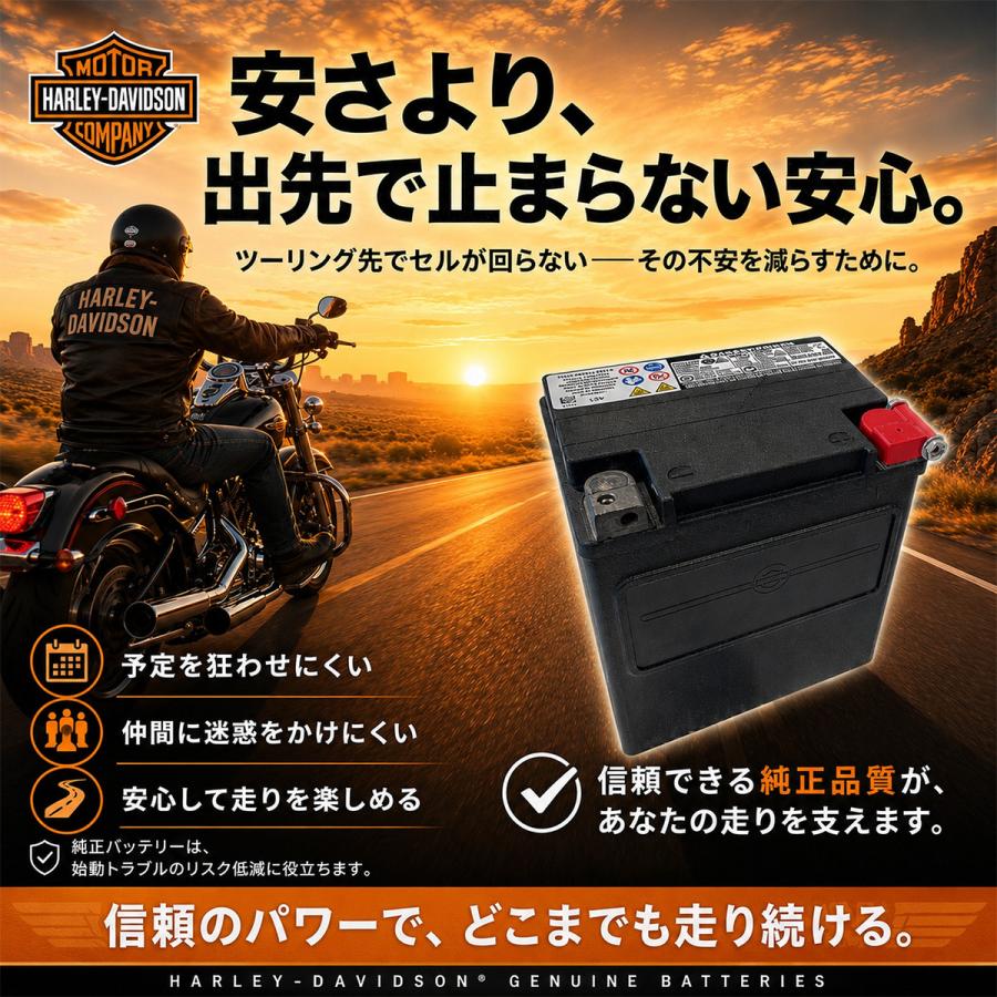 Harley Davidson（ハーレー・ダビッドソン） HD 66000212A ハーレー
