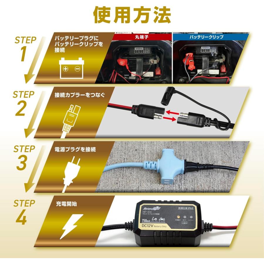 大自工業 メルテック 全自動ウルトラパルス バッテリー 充電器 12V専用