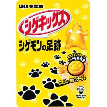 シゲキックス シゲモンの足跡 エボリューションソーダ Uha味覚糖 10袋1box あめちゃん 飴の専門卸店 通販 Yahoo ショッピング