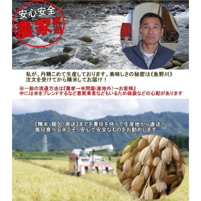 お米　コシヒカリ 5kg　南魚沼塩沢産　中之島　産地直送　日本一 |  | 02