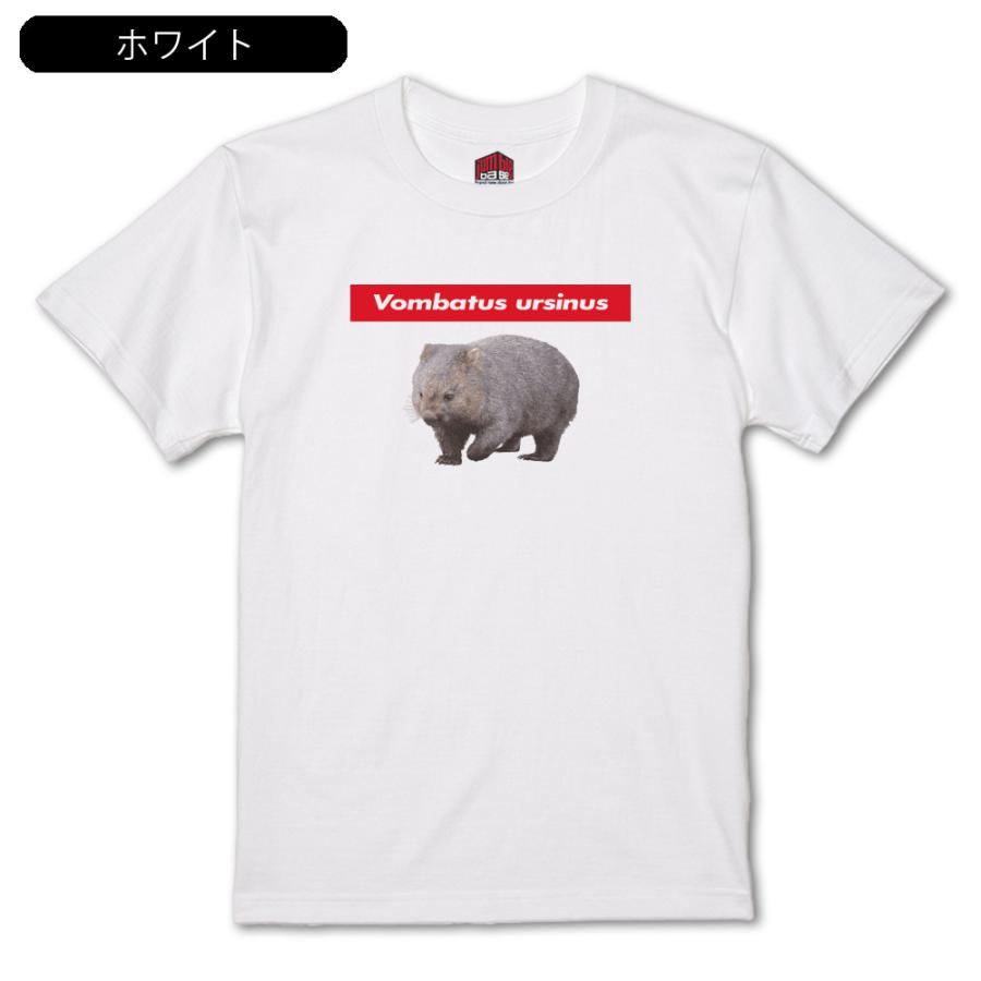 Vombatus ursinus ウォンバットTシャツ : ジャンブルベース - 通販