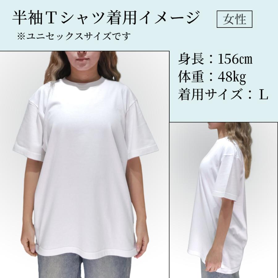CALIFORNYA REPUBLIC カリフォルニャ〜 猫Tシャツ : ジャンブルベース