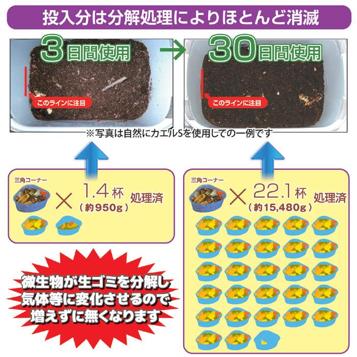 エコ・クリーン 生ゴミ処理機 自然にカエルS 基本セット SKS-101 助成