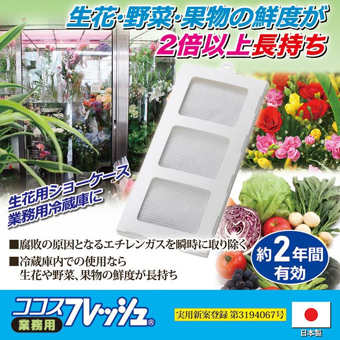 ココスフレッシュ 業務用　生け花 野菜 果物 鮮度 長持ち 防菌 防腐 防カビ メーカー直販ストア 後藤 GOTO オリジナル｜amekazeya｜02