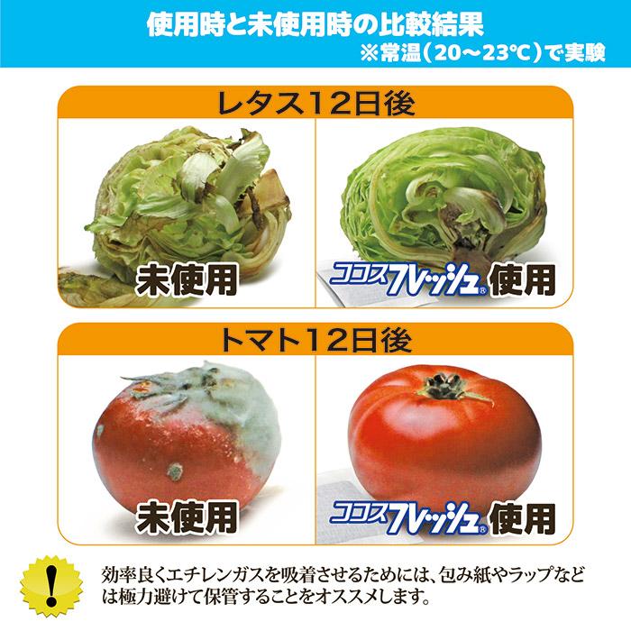 ココスフレッシュ 業務用　生け花 野菜 果物 鮮度 長持ち 防菌 防腐 防カビ メーカー直販ストア 後藤 GOTO オリジナル｜amekazeya｜05