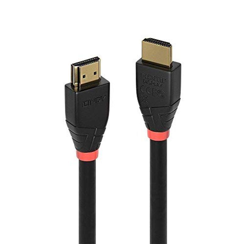 Lindy 36483 3m DisplayPort DisplayPort Nero cavo DisplayPort