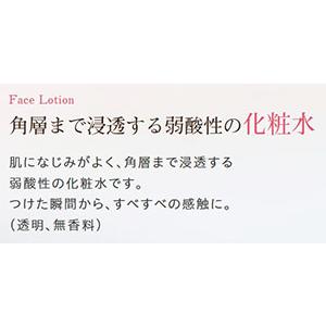フィエスタ フェイスローション 化粧水 2l 3本 Kaofie011 アメニティズショップ 通販 Yahoo ショッピング