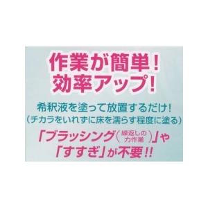 プロバイオイージークリーン（フロア用）　業務用2L×4本_2