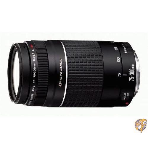 Canon EFレンズ EF75-300mm F4-5.6 IIIズームレンズ 望遠 並行輸入品 送料無料 Canon EFレンズ EF75 300mm F4 IIIズームレンズ 望遠 並行輸入品 T2259769260(20081円)