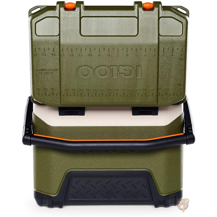 Igloo BMX 25 Quart Cooler with Cool Riser Technology, Fish Ruler, and