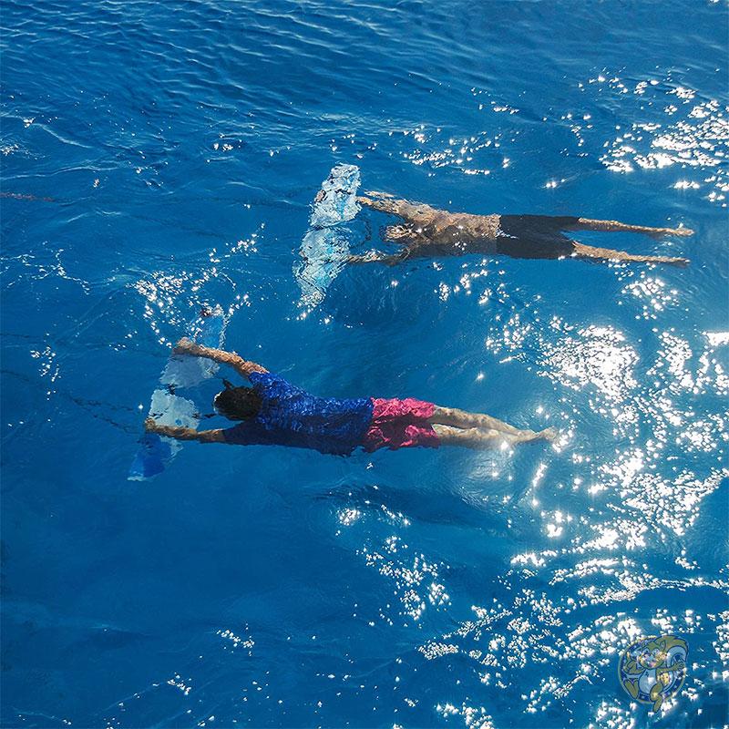 Subwing サブウィング マリンスポーツ フライングチューブ ボード ホワイトフレーム Subwing サブウィング マリンスポーツ フライングチューブ ボード