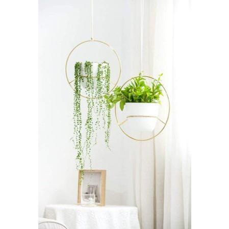 【並行輸入品】2個セットハンギングプランター 多肉植物 植木鉢 Gold_1
