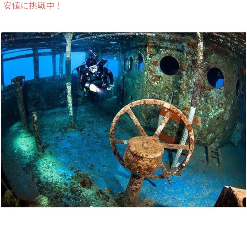 並行輸入品】Light & Motion ライト＆モーション GoBe 1000 Lumen Wide