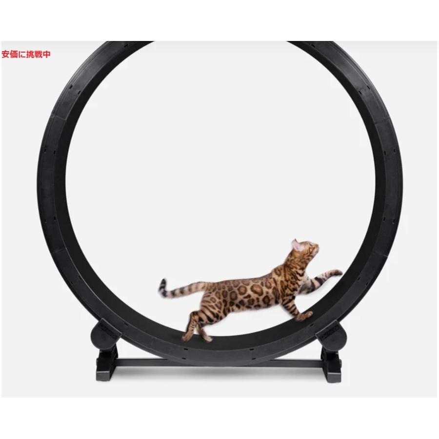 並行輸入品】ワンファストキャット ONEFASTCAT 猫用 Cat Exercise 