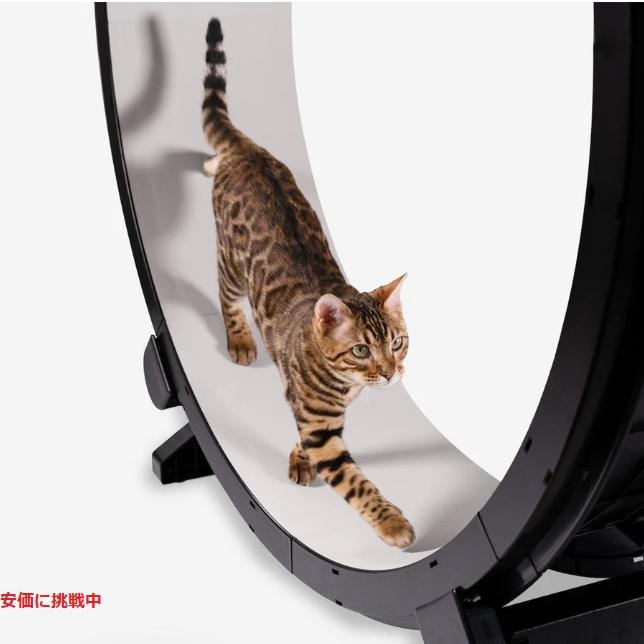 並行輸入品】ワンファストキャット ONEFASTCAT 猫用 Cat Exercise